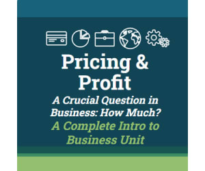 Pricing and Profit (Full Intro to Business Unit)