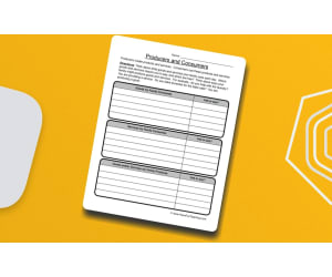Producers and Consumers Worksheet