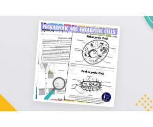 Prokaryotic and Eukaryotic Cells Worksheets