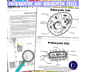 Prokaryotic and Eukaryotic Cells Worksheets