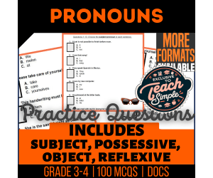 Pronouns Practice Questions - Grade 3-4 Grammar (Google Docs)