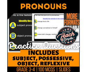 Pronouns Practice Questions - Grade 3-4 Grammar (Google Slides)