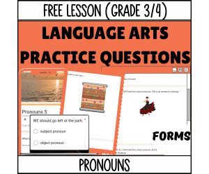 Pronouns Sample: Grammar Grades 3-4 (Google Forms)