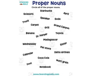 Proper Nouns Activity