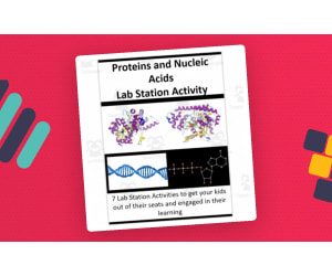 Proteins and Nucleic Acids – Lab Station Activity