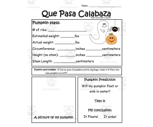 Pumpkin Day Math