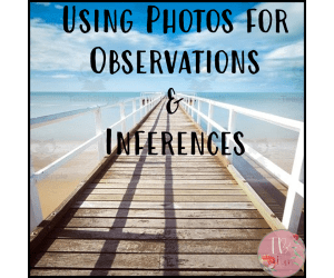 Qualitative and Quantitative Photo Observation Activity