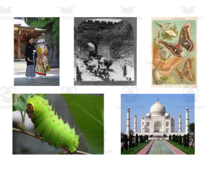 Quick Write Flash Cards | Ancient Asia Writing Activity