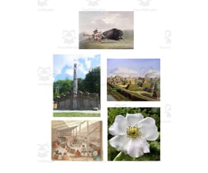 Quick Write Flash Cards | Native American History Writing Activity