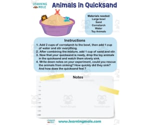 Quicksand Activity