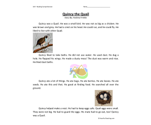 Quincy the Quail Reading Comprehension Worksheet