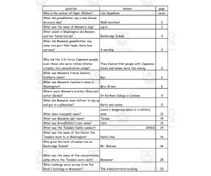 Quiz - Paper Wishes by Lois Sepahban
