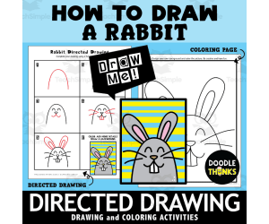 Rabbit Directed Drawing | How To Draw
