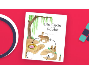 Rabbit Life Cycle Poster – Watercolor Stages