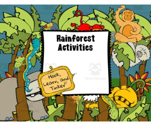 Rainforest Activity