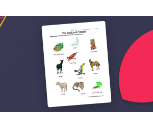 Rainforest Animals Worksheet
