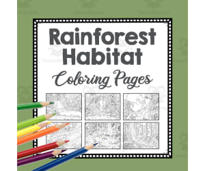 Rainforest Habitat Coloring Pages | Line Art Templates | Biome Art Project | Jungle