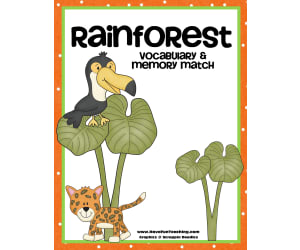 Rainforest Vocabulary Matching Activity