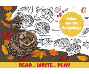 Read, Write and Play - Chloe and the Hedgehogs