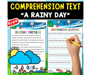 READING-COMPREHENSION + 4 ANCHOR CHART | A RAINY DAY