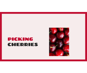 Reading Comprehension Fiction Set 1 Sample - Picking Cherries (PPT)