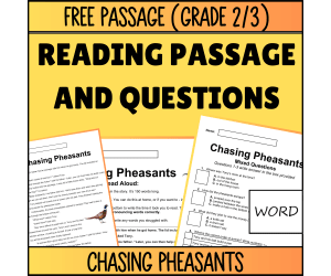 Reading Comprehension Fiction Set 2 Sample - Chasing Pheasants (Word)