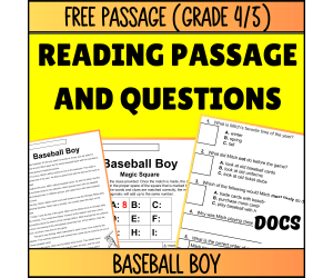 Reading Comprehension Fiction Set 5 Sample: Baseball Boy (Docs)