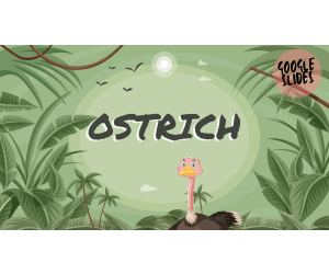 Reading Comprehension Nonfiction Set 1 Sample - Ostrich (Slides)