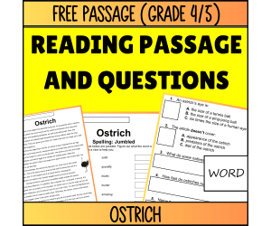 Reading Comprehension Nonfiction Set 1 Sample - Ostrich (Word)