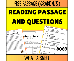 Reading Comprehension Nonfiction Set 2 Sample: What a Smell (Docs)