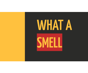Reading Comprehension Nonfiction Set 2 Sample: What a Smell (PPT)