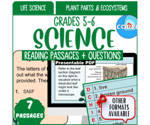 Reading Comprehension: Plant Parts and Ecosystems (Presentable PDF)
