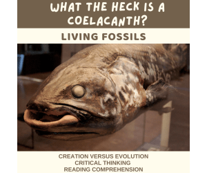 Reading Comprehension Quizzes - Coelacanth Ancient or Not?