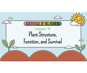Reading Passage 19: Plant Structure, Function, and Survival (Slides)
