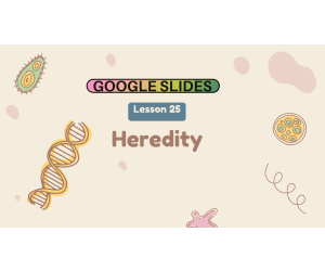Reading Passage 25: Heredity (Google Slides)