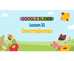 Reading Passage 31: Invertebrates (Google Slides)