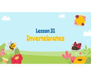 Reading Passage 31: Invertebrates PPT