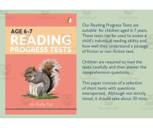 Reading Progress Test 2A - Age 6-7 - KS1 - Mr. Fluffy Tail