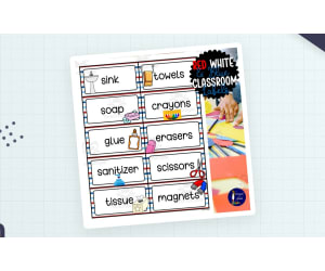 Red, White & Blue Classroom Labels – Organization Set