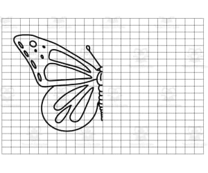 Reflection Artist: Butterfly