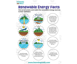 Renewable Energy Activity