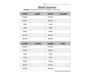 Reptile Taxonomy Worksheet