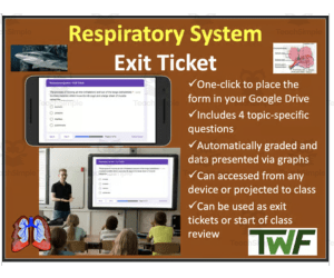 Respiratory System - Digital Exit Ticket and Review Activity