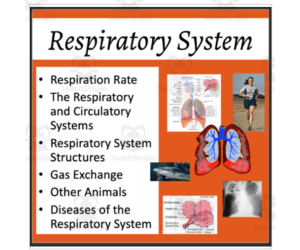 Respiratory System - Google Slides and PowerPoint Lesson