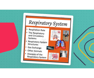 Respiratory System - Google Slides and PowerPoint Lesson