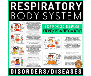 Respiratory System Health Terminology Flashcard Disorders Diseases