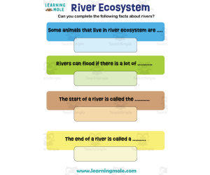 River Ecosystem Activity
