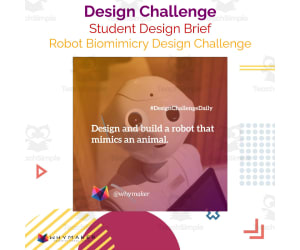Robot Biomimicry Design Challenge