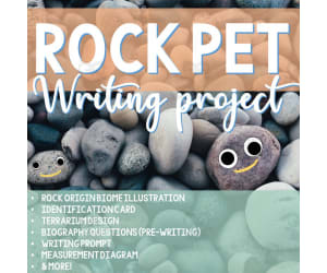 Rock Pet Writing Activity