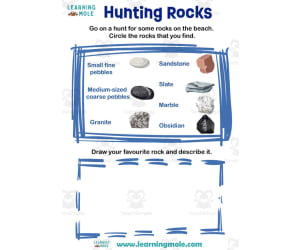 Rocks on Beach Activity